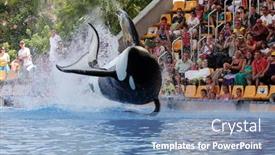  Presentation with august - Presentation enhanced with puerto-de-la-cruz-tenerife background and a teal colored foreground