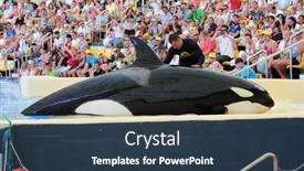  Presentation with august - Presentation theme with puerto-de-la-cruz-tenerife background and a tawny brown colored foreground