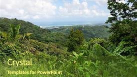  Presentation with forrest - Colorful slides enhanced with forrest - rain forest view backdrop and a sky blue colored foreground