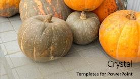  Presentation with pumpkin seeds as pumpkin - Amazing slides having puke - pumpkin background backdrop and a  colored foreground