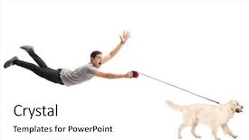  Presentation with pet grooming small dog - Slides featuring pulling - guy being pulled by his background and a white colored foreground