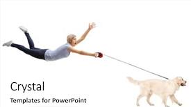  Presentation with dog - PPT theme enhanced with pulling - young woman being pulled background and a white colored foreground