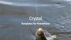  Presentation with water - Colorful slides enhanced with pulling-roach-fish-from-water backdrop and a gray colored foreground