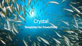  Presentation with fish ocean - Audience pleasing PPT theme consisting of pulmo - fish school snapper fish underwater backdrop and a teal colored foreground