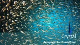  Presentation with fish ocean - Slide set with pulmo - fish school snapper fish underwater background and a ocean colored foreground