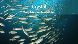  Presentation with tuna fish underwater in ocean - Amazing PPT theme having pulmo - fish school snapper fish underwater backdrop and a teal colored foreground