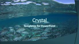  Presentation with underwater - PPT theme consisting of pulmo - fish school underwater trevally background and a ocean colored foreground