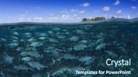  Presentation with underwater - Colorful PPT theme enhanced with pulmo - fish school underwater trevally backdrop and a ocean colored foreground