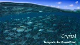  Presentation with underwater - Audience pleasing presentation theme consisting of pulmo - fish school underwater trevally backdrop and a ocean colored foreground