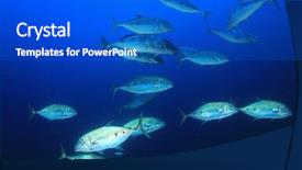  Presentation with fish ocean - Cool new theme with pulmo - trevally jack fish school backdrop and a cobalt blue colored foreground
