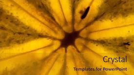  Presentation with eeven cut nyadi historical and factual ingris 10 - Colorful slide deck enhanced with pulp in the cut translucent backdrop and a gold colored foreground