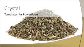  Presentation with herb - Colorful theme enhanced with pulsatilla-herb-leaf-used backdrop and a white colored foreground