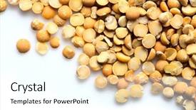  Presentation with background - Beautiful presentation theme featuring plant pulse - lentil on white background backdrop and a  colored foreground