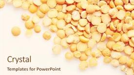  Presentation with lens flare on white - Cool new slide deck with plant pulse - lentil on white background backdrop and a  colored foreground