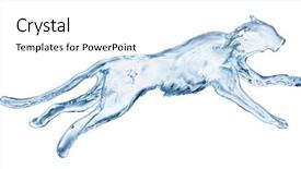  Presentation with animal - Audience pleasing theme consisting of puma made out of water backdrop and a white colored foreground