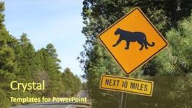 Presentation with united states unity - Presentation theme having puma road sign in arizona background and a  colored foreground