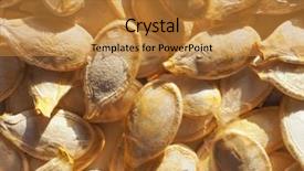  Presentation with pumpkin seeds - Cool new PPT theme with pumpkin aka cucurbita pepo vegetables backdrop and a gold colored foreground