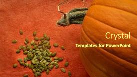  Presentation with pumpkin seeds - PPT layouts enhanced with pumpkin-and-a-pile background and a crimson colored foreground