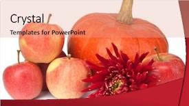  Presentation with apples and education - Colorful slides enhanced with pumpkin apples and dahlia isolted backdrop and a  colored foreground