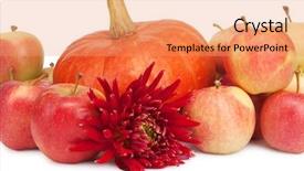  Presentation with dahlia - PPT theme consisting of pumpkin apples and dahlia isolted background and a  colored foreground