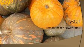  Presentation with pumpkin seeds as pumpkin - Slide set consisting of pumpkin background background and a gold colored foreground