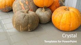  Presentation with pumpkin seeds as pumpkin - Slides consisting of pumpkin background background and a coral colored foreground