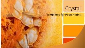  Presentation with pink colour food - Slide deck consisting of pumpkin closeup background colour palette background and a yellow colored foreground