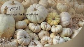  Presentation with vegan food - Slide set consisting of pumpkin cucurbita pepo vegetables vegetarian and vegan food background and a coral colored foreground