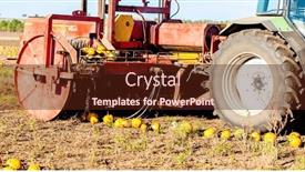  Presentation with harvest - Slides consisting of pumpkin-field-with-a-tractor background and a tawny brown colored foreground