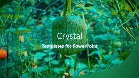  Presentation with greenhouse - 