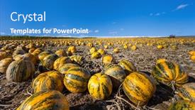  Presentation with anatomy lower limb - Beautiful PPT layouts featuring pumpkin-near-retz-in-weinviertel backdrop and a teal colored foreground