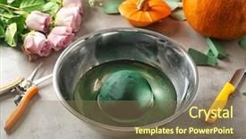  Presentation with oasis - Colorful PPT theme enhanced with pumpkin oasis in bowl backdrop and a coral colored foreground