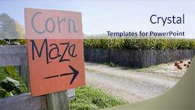  Presentation with corn field - Amazing PPT theme having corn maze sign next backdrop and a sky blue colored foreground