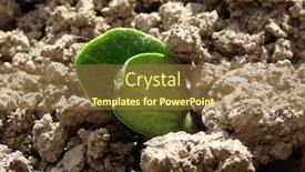  Presentation with seedling - Audience pleasing PPT theme consisting of pumpkin-seedling-sprouting-out backdrop and a coral colored foreground