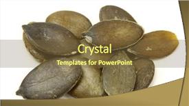  Presentation with pumpkin seeds - Amazing PPT theme having pumpkin seeds isolated on white background macro shot backdrop and a tawny brown colored foreground