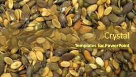  Presentation with pumpkin seeds - PPT theme with pumpkin seeds pepitas background and a tawny brown colored foreground