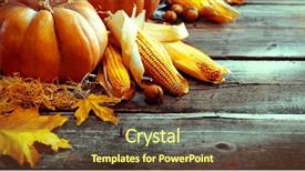 Presentation with fall festival - Theme enhanced with pumpkin squash happy thanksgiving day background and a tawny brown colored foreground