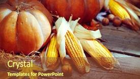  Presentation with happy thanksgiving - Amazing PPT theme having pumpkin squash happy thanksgiving day backdrop and a tawny brown colored foreground
