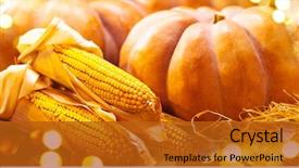  Presentation with happy thanksgiving - Slide deck with pumpkin squash happy thanksgiving day background and a crimson colored foreground
