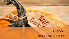  Presentation with price - Colorful PPT theme enhanced with pumpkin with a happy thanksgiving backdrop and a gold colored foreground