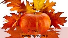  Presentation with oak - Presentation theme with pumpkin with colorful autumn leaves background and a red colored foreground