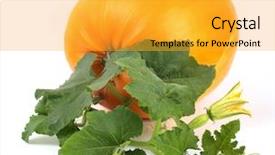  Presentation with vine - Slides consisting of pumpkin with vine isolated background and a gold colored foreground