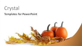  Presentation with maple - Cool new PPT theme with pumpkins-and-fall-maple-leaves backdrop and a white colored foreground