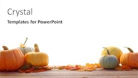  Presentation with maple leaves - Amazing theme having pumpkins-and-maple-leaves-isolated backdrop and a white colored foreground
