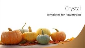  Presentation with maple - Amazing slide set having pumpkins-and-maple-leaves-isolated backdrop and a white colored foreground