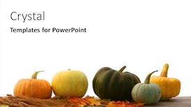  Presentation with thanksgiving - Presentation theme with pumpkins-and-maple-leaves-isolated background and a white colored foreground