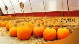  Presentation with fruits on a farm market - Colorful PPT layouts enhanced with pumpkins for sale on autumn backdrop and a  colored foreground