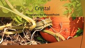  Presentation with farm machines in agriculture - Beautiful theme featuring pumpkins going on a pumpkin backdrop and a gold colored foreground