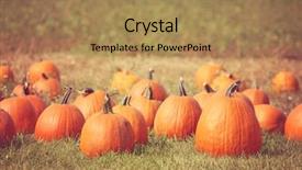  Presentation with harvest is ripe - Presentation theme featuring pumpkins in a pumpkin patch background and a  colored foreground