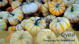  Presentation with crops - Amazing presentation having pumpkins in bin autumn crops backdrop and a yellow colored foreground